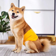 S Male Dog Puppy Nappy Diaper Belly Wrap Band Sanitary Pants Underpants - Grey V528-SANITARYPANTS-GREY-S-81464