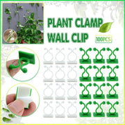 100Pcs Invisible Wall Clips for Plant Climbing & Vine Support V528-SCINDAPSUS-WHITE-100PCS-37424