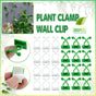 100Pcs Invisible Wall Clips for Plant Climbing & Vine Support V528-SCINDAPSUS-WHITE-100PCS-37424