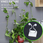 100Pcs Invisible Wall Clips for Plant Climbing & Vine Support V528-SCINDAPSUS-WHITE-100PCS-37424
