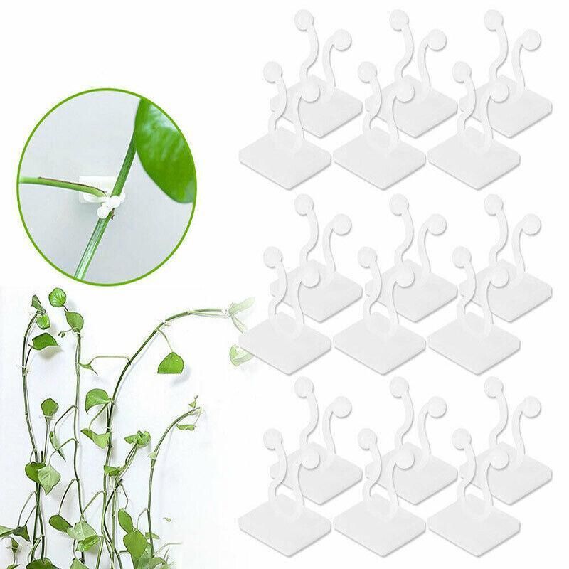 100Pcs Invisible Wall Clips for Plant Climbing & Vine Support V528-SCINDAPSUS-WHITE-100PCS-37424