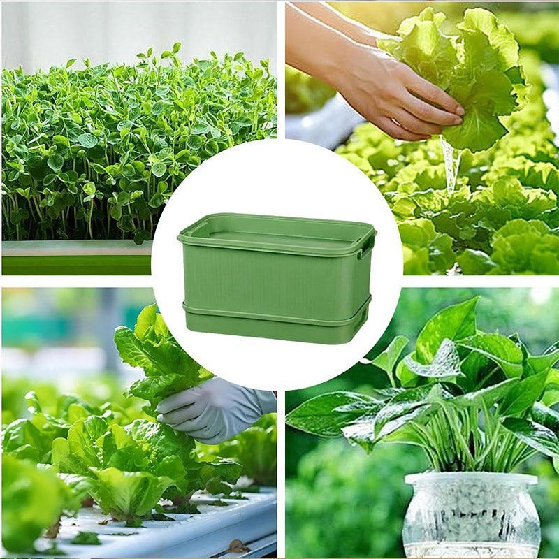 Seedling Tray Sprout Tray Soilless Hydroponic Planting Pot for Indoor Gardening - White V528-SEEDLING-TRAY-WHITE-293611