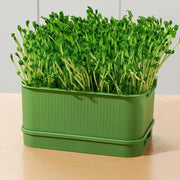 Seedling Tray Sprout Tray Soilless Hydroponic Planting Pot for Indoor Gardening - White V528-SEEDLING-TRAY-WHITE-293611