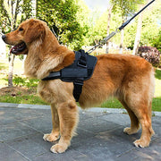 Adjustable Dog Vest Harness for Small Medium Dogs Comfortable No Pull Design - Camouflage-L V528-SERVICEDOG-VEST-CAMOUFLAGE-L-243069