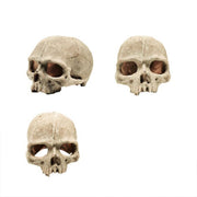 Artificial Fake Skull Head Bone Aquarium Ornament Fish Tank Decoration - Pirate V528-SIMULATIONSKULL-PIRATE-388969