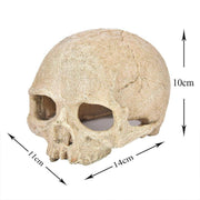 Artificial Fake Skull Head Bone Aquarium Ornament Fish Tank Decoration - Pirate V528-SIMULATIONSKULL-PIRATE-388969