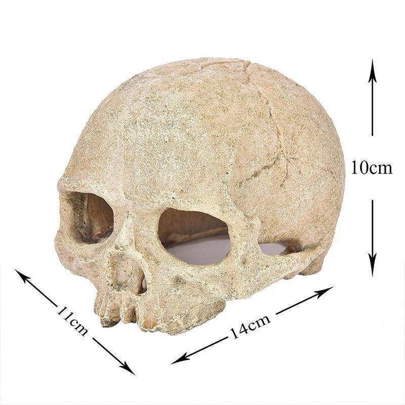 Artificial Fake Skull Head Bone Aquarium Ornament Fish Tank Decoration - Pirate V528-SIMULATIONSKULL-PIRATE-388969
