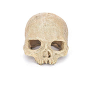 Artificial Fake Skull Head Bone Aquarium Ornament Fish Tank Decoration - Pirate V528-SIMULATIONSKULL-PIRATE-388969