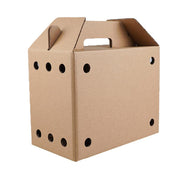 10PCS Disposable Cardboard Pet Carrier - 3 Sizes for Small Animals - 38*28*24CM V528-SM00164-10PCS-38-28-24-855926