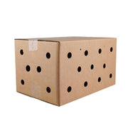 10PCS Disposable Cardboard Pet Carrier - 3 Sizes for Small Animals - 38*28*24CM V528-SM00164-10PCS-38-28-24-855926