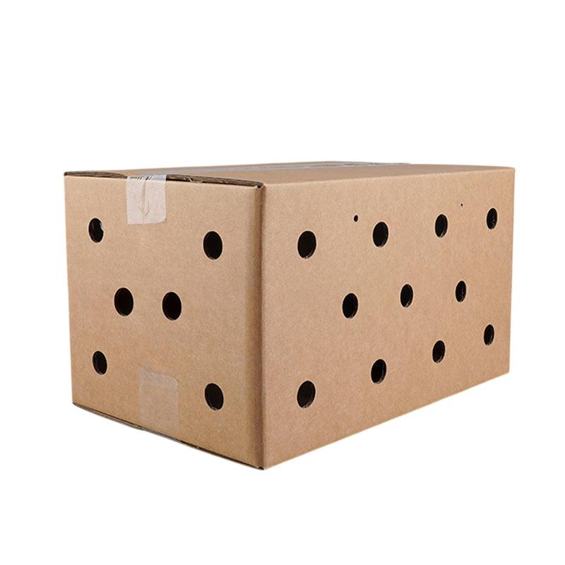 10PCS Disposable Cardboard Pet Carrier - 3 Sizes for Small Animals - 38*28*24CM V528-SM00164-10PCS-38-28-24-855926