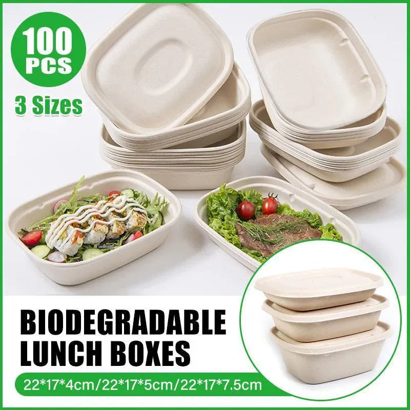 100X Food Preparation Burger Storages Cake Packaging Box Lunch Boxes - 1300ml-Primary V528-SQ202-DBH-1300ML-100PCS-146246