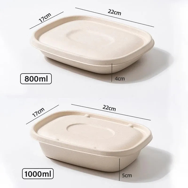 100X Food Preparation Burger Storages Cake Packaging Box Lunch Boxes - 1300ml-Primary V528-SQ202-DBH-1300ML-100PCS-146246