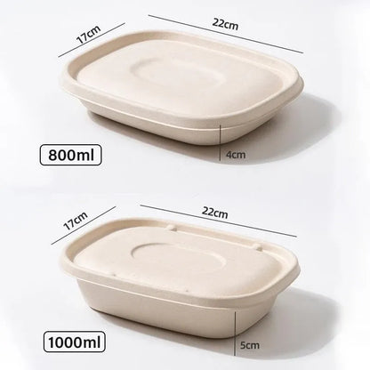 100X Food Preparation Burger Storages Cake Packaging Box Lunch Boxes - 1300ml-Primary V528-SQ202-DBH-1300ML-100PCS-146246