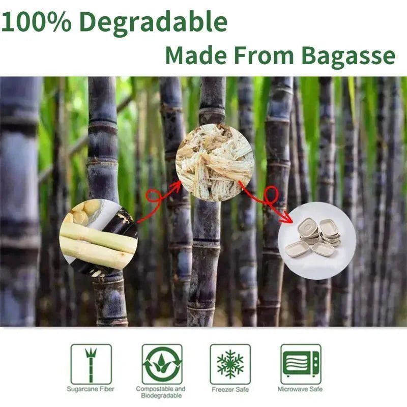 100X Food Preparation Burger Storages Cake Packaging Box Lunch Boxes - 1300ml-Primary V528-SQ202-DBH-1300ML-100PCS-146246