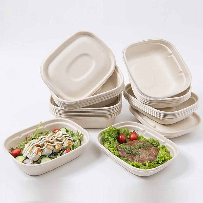 100X Food Preparation Burger Storages Cake Packaging Box Lunch Boxes - 1300ml-Primary V528-SQ202-DBH-1300ML-100PCS-146246