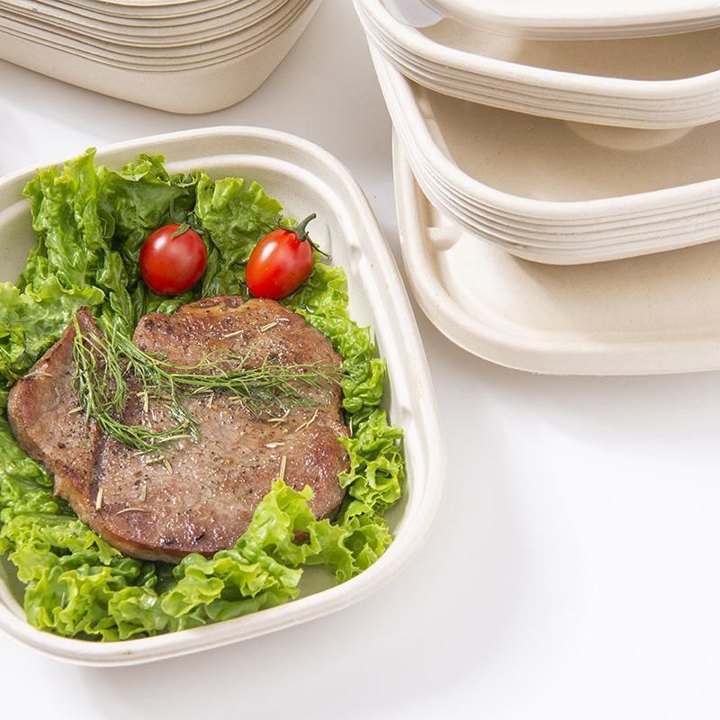 100X Food Preparation Burger Storages Cake Packaging Box Lunch Boxes - 1300ml-Primary V528-SQ202-DBH-1300ML-100PCS-146246