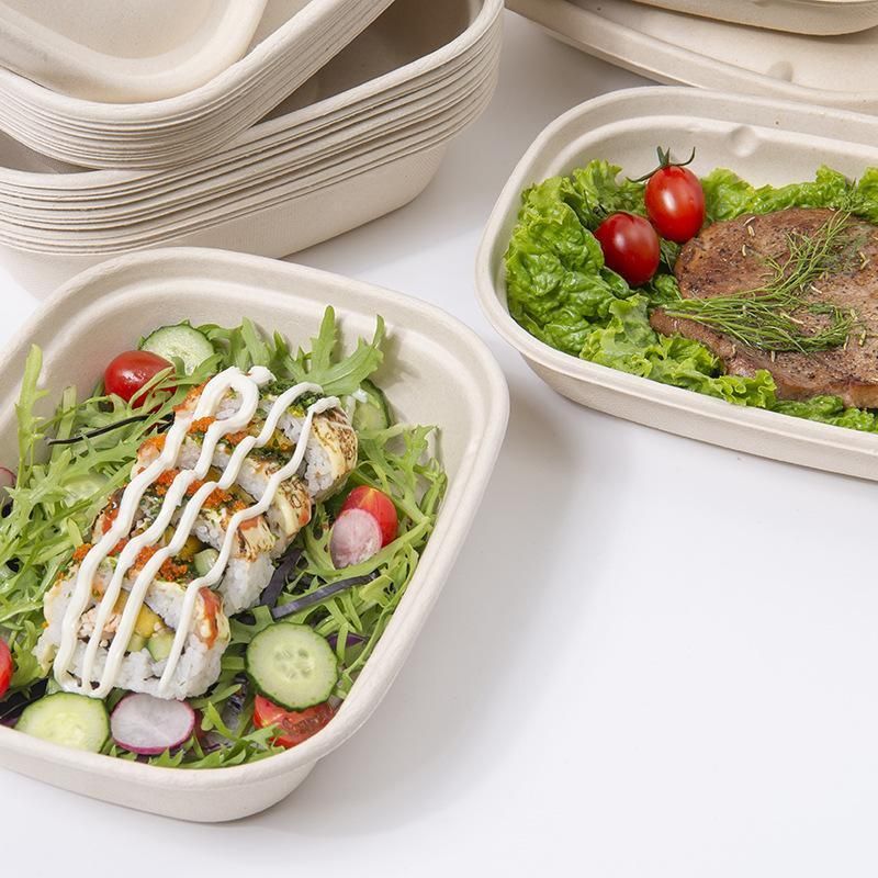 100X Food Preparation Burger Storages Cake Packaging Box Lunch Boxes - 1300ml-Primary V528-SQ202-DBH-1300ML-100PCS-146246