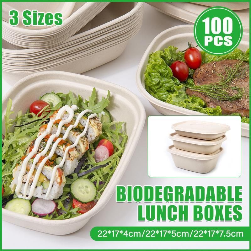 100X Food Preparation Burger Storages Cake Packaging Box Lunch Boxes - 1300ml-Primary V528-SQ202-DBH-1300ML-100PCS-146246