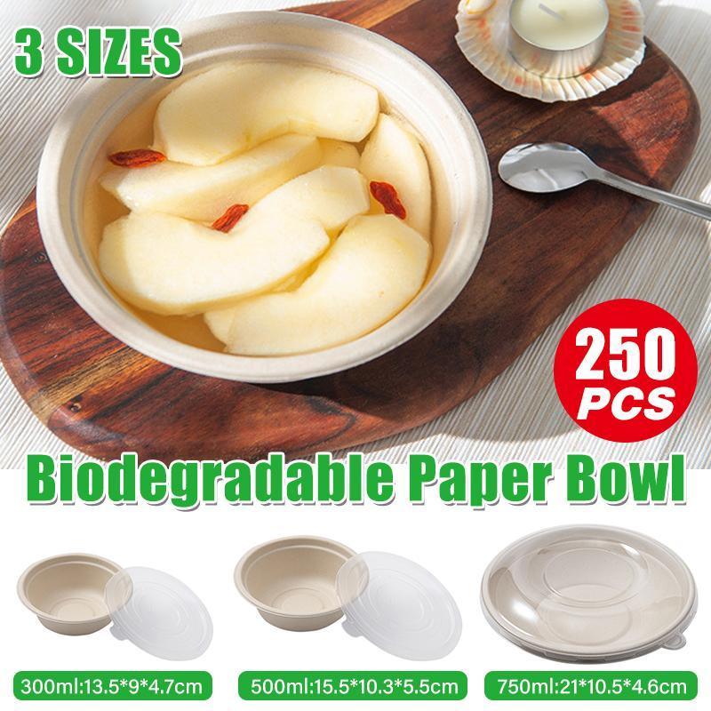 250PCS Food Preparation Burger Storages Cake Packaging Box Lunch Boxes Primary - Primary 350ml+PP lid V528-SQ203-ZW-350ML-250PCS-894276