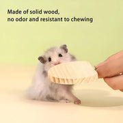 Hamster Parrot Play Stand Jump Platform Squirrel Cage Accessories Gear Pet Toy - A2101 (10*10*1.2cm) V528-STATION-PLATE-A2101-992156