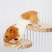 Hamster Parrot Play Stand Jump Platform Squirrel Cage Accessories Gear Pet Toy - A2101 (10*10*1.2cm) V528-STATION-PLATE-A2101-992156