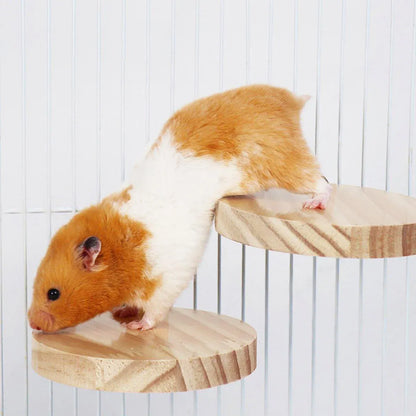 Hamster Parrot Play Stand Jump Platform Squirrel Cage Accessories Gear Pet Toy - A2101 (10*10*1.2cm) V528-STATION-PLATE-A2101-992156
