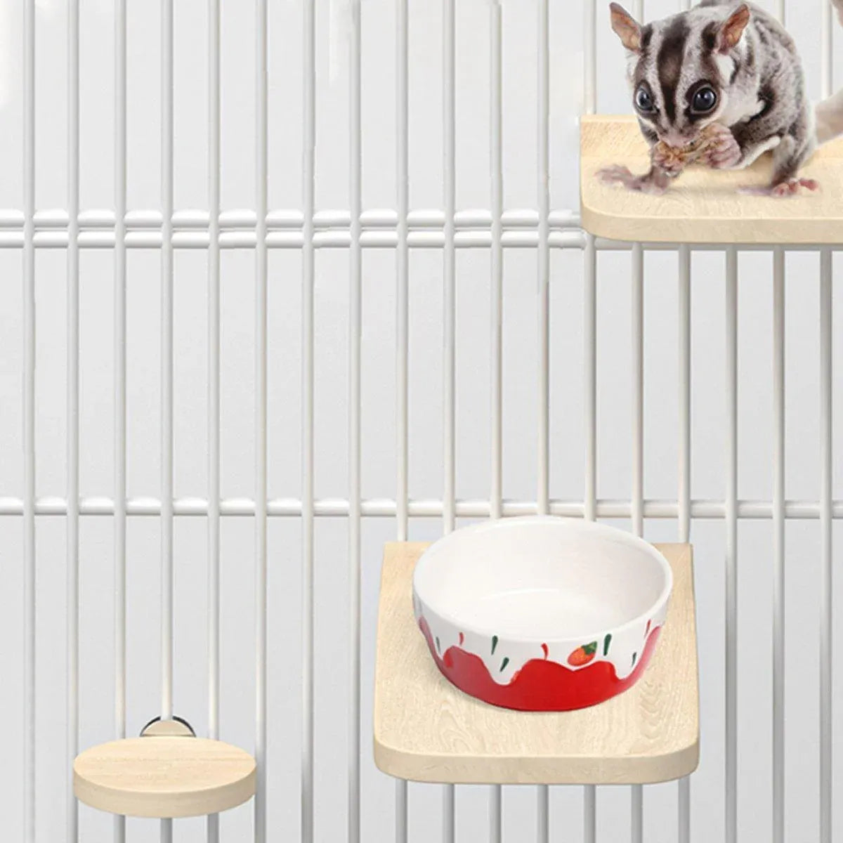Hamster Parrot Play Stand Jump Platform Squirrel Cage Accessories Gear Pet Toy - A2101 (10*10*1.2cm) V528-STATION-PLATE-A2101-992156