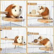 Hamster Parrot Play Stand Jump Platform Squirrel Cage Accessories Gear Pet Toy - A2101 (10*10*1.2cm) V528-STATION-PLATE-A2101-992156