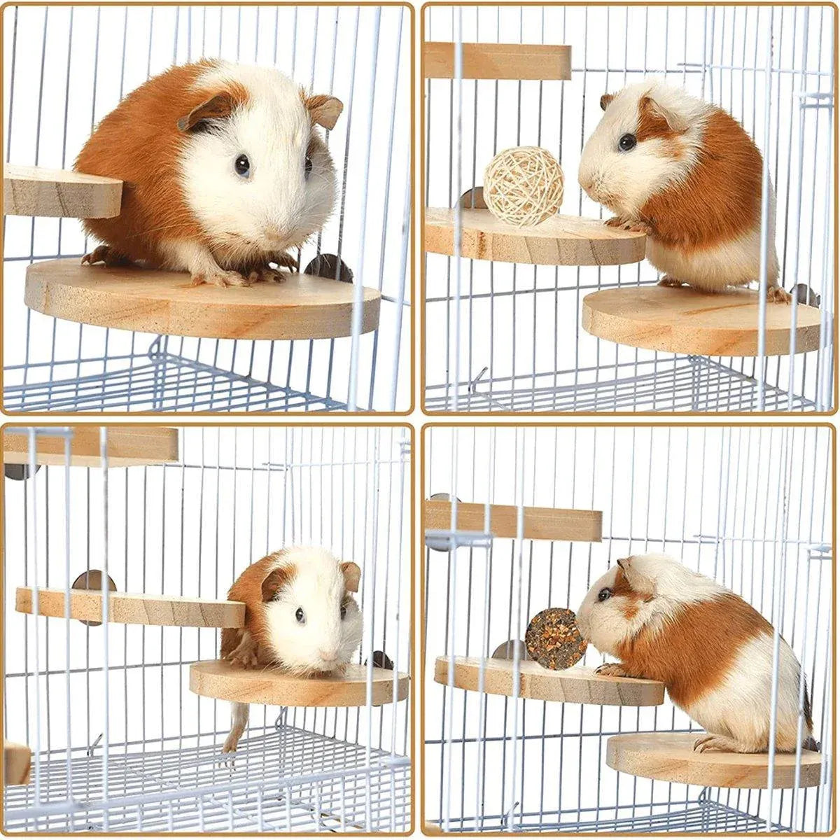 Hamster Parrot Play Stand Jump Platform Squirrel Cage Accessories Gear Pet Toy - A2101 (10*10*1.2cm) V528-STATION-PLATE-A2101-992156