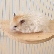 Hamster Parrot Play Stand Jump Platform Squirrel Cage Accessories Gear Pet Toy - A2101 (10*10*1.2cm) V528-STATION-PLATE-A2101-992156