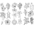 15-Style Creative Student Graffiti Sticker Set Small Fresh Sticker - L-Hand Painted flower leaves V528-STICKER-SHHY-147576