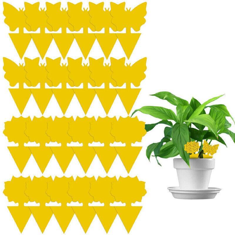 10X Dual Sided Sticky Trap Insect Killer Whitefly Thrip Fruit Fly Gnat - Sunflower 20PCS