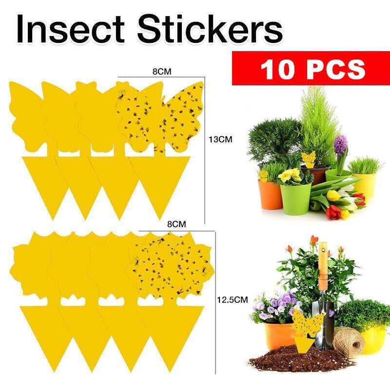 10X Dual Sided Sticky Trap Insect Killer Whitefly Thrip Fruit Fly Gnat - Sunflower 50PCS