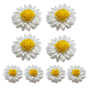 8PCS Sunflower Daisy Paper Flowers 20cm/30cm Wall Hanging Party Room Decoration V528-SUNFLOWER-WHITE-8PCS-575362