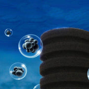 Double Head Aquarium Sponge Filter with Bio Media Box for Shrimp Breeding Tanks V528-TANKSPONGEFOAM-856171