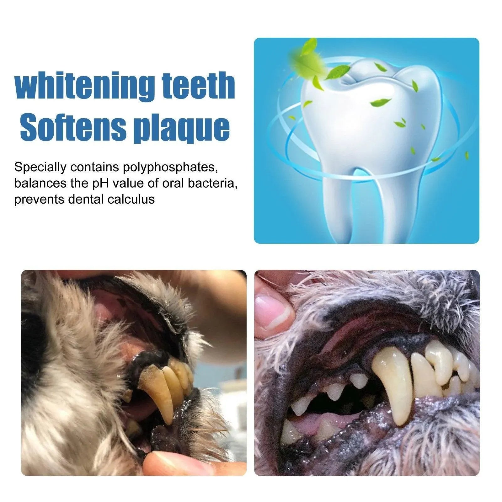 Pet Tartar Remover for Yellow Teeth Bad Breath Cleaning Foam Oral Care Cleaner V528-TARTAR-REMOVER-384111