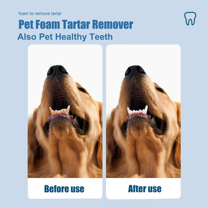Pet Tartar Remover for Yellow Teeth Bad Breath Cleaning Foam Oral Care Cleaner V528-TARTAR-REMOVER-384111
