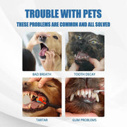 Pet Tartar Remover for Yellow Teeth Bad Breath Cleaning Foam Oral Care Cleaner V528-TARTAR-REMOVER-384111