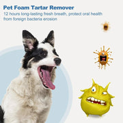 Pet Tartar Remover for Yellow Teeth Bad Breath Cleaning Foam Oral Care Cleaner V528-TARTAR-REMOVER-384111