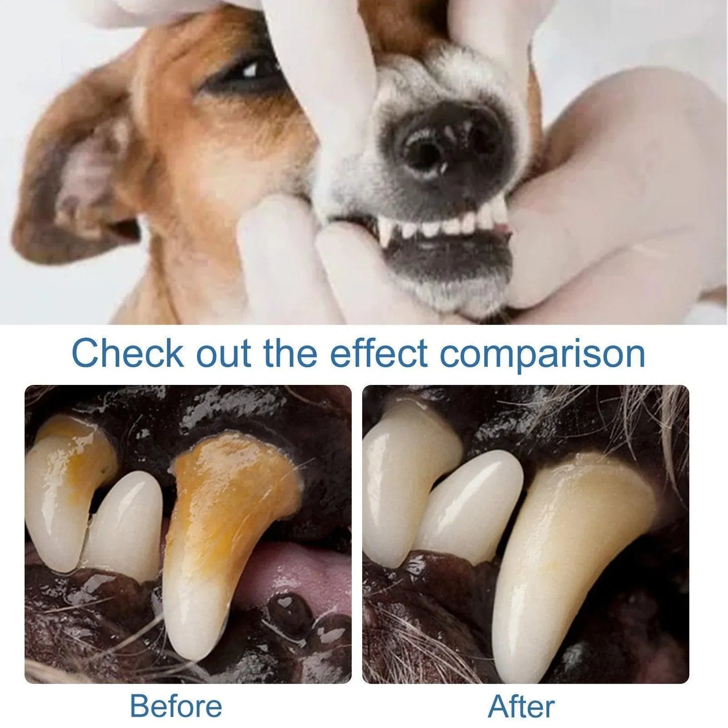 Pet Tartar Remover for Yellow Teeth Bad Breath Cleaning Foam Oral Care Cleaner V528-TARTAR-REMOVER-384111
