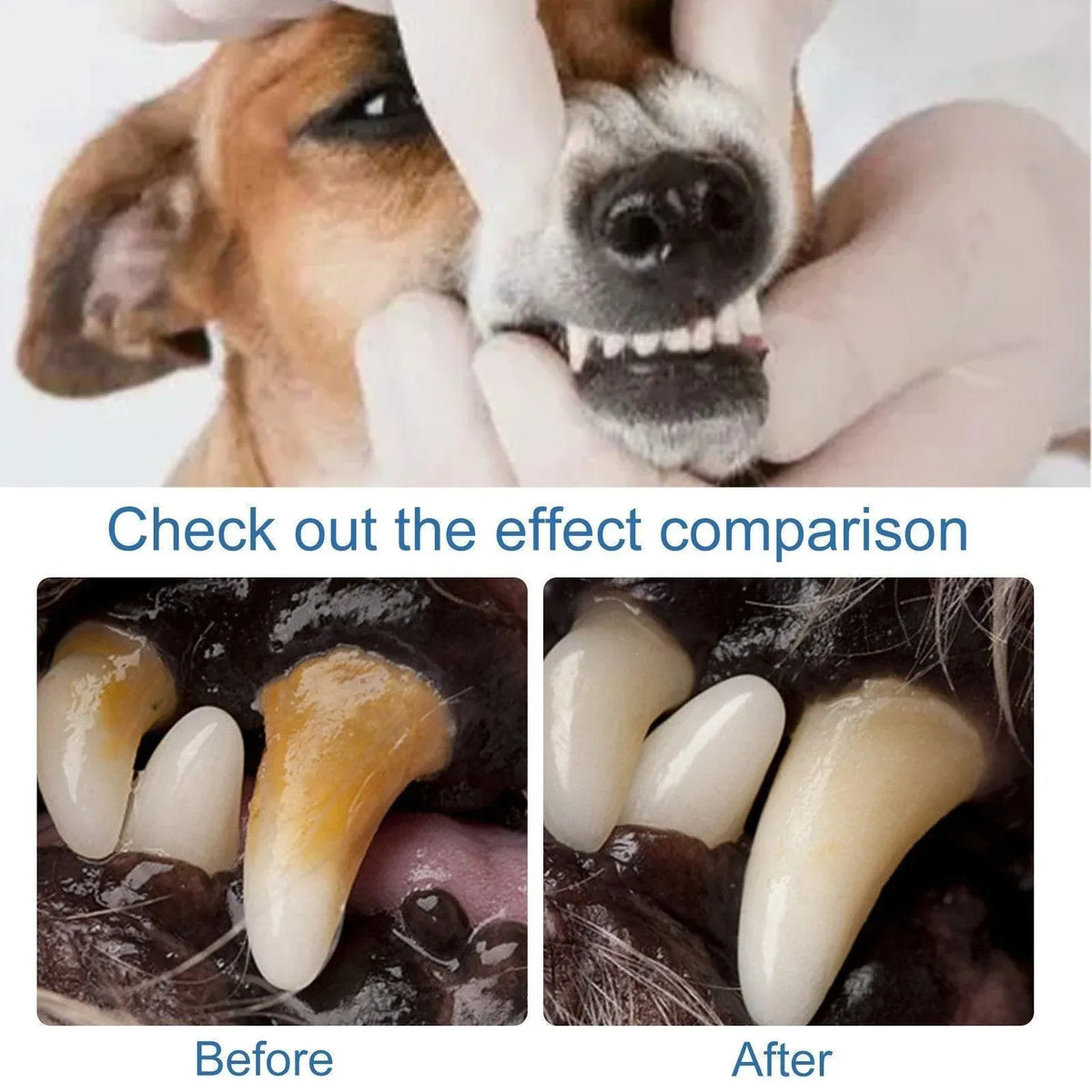 Pet Tartar Remover for Yellow Teeth Bad Breath Cleaning Foam Oral Care Cleaner V528-TARTAR-REMOVER-384111