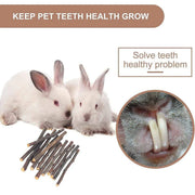 Natural Rabbit Molar Snacks Hamster Branches Sweet Bamboo Grinding Teeth Wood - Black V528-TEETHING-TOY-PGZ-100G-476519