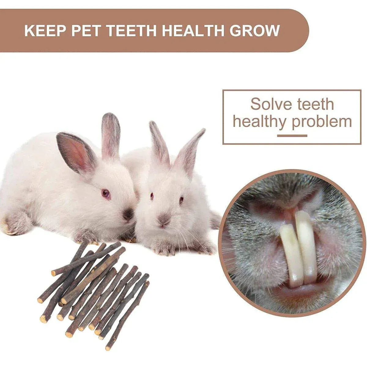 Natural Rabbit Molar Snacks Hamster Branches Sweet Bamboo Grinding Teeth Wood - Black V528-TEETHING-TOY-PGZ-100G-476519