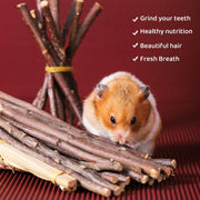 Natural Rabbit Molar Snacks Hamster Branches Sweet Bamboo Grinding Teeth Wood - White V528-TEETHING-TOY-TZ-100G-678601