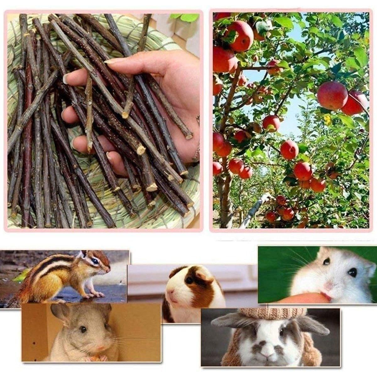 Natural Rabbit Molar Snacks Hamster Branches Sweet Bamboo Grinding Teeth Wood - White V528-TEETHING-TOY-TZ-100G-678601