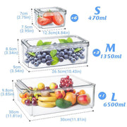 10PCS Clear PET Refrigerator Storage Box Food Grade Fruit Freezer Organizer Set V528-TEN-KITCHEN-CRISPER-BOXES-228185