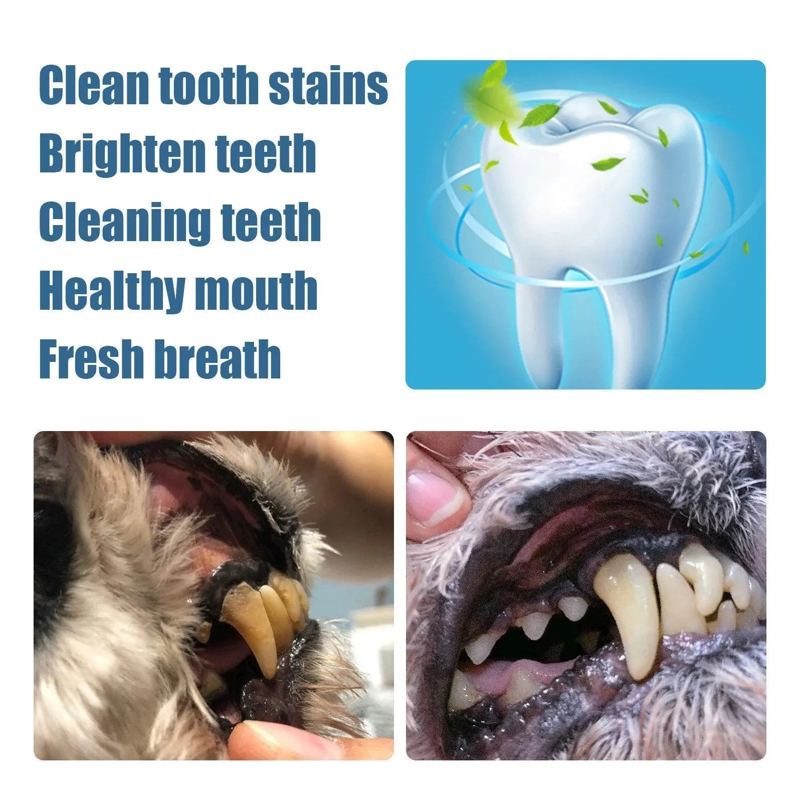 Pet Dental Cleaning Pencil for Dogs Cats Remove Calculus Oral Care Tool Pen V528-TOOTH-CLEANING-TOOL-816650