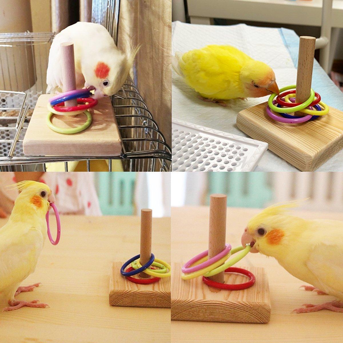 Parrot Chew Toys Interactive Bird Training Rings Set Pet Bird Intelligence Toys V528-TRAINING-TOY-177187