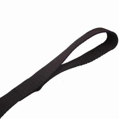 50Ft/15M Long Dog Lead Pet Puppy Leash Training Obedience Recall Walk Tracking - Red V528-TRAININGROPE-RED-64117